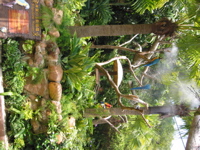 Ocean Park 004