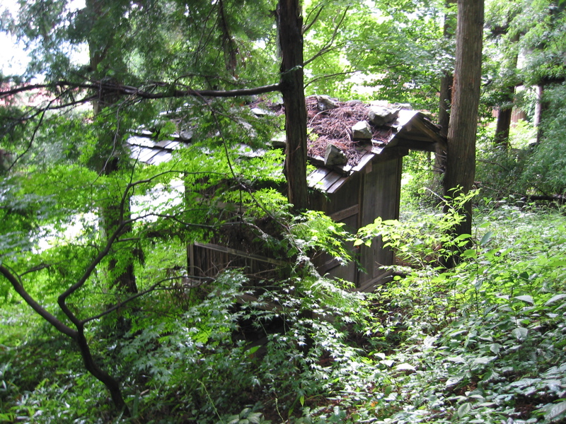 IMG_1973.JPG