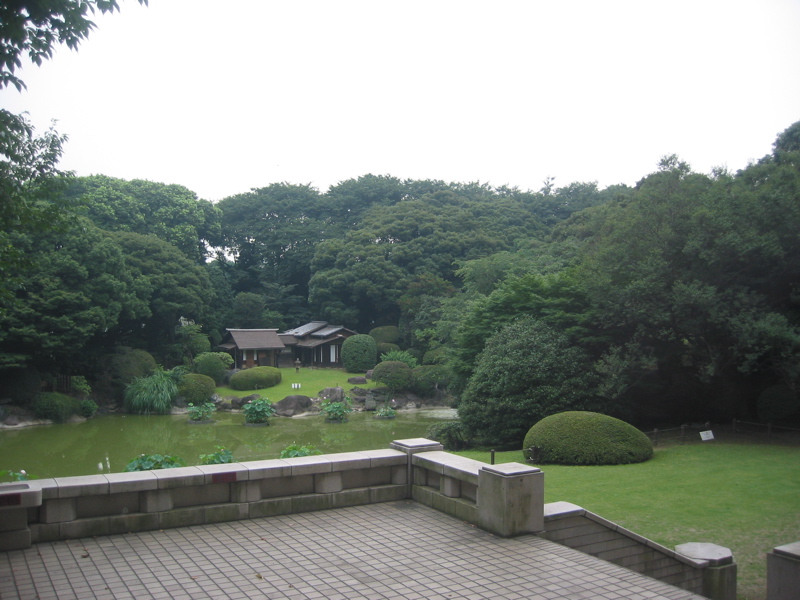 IMG_0992.JPG
