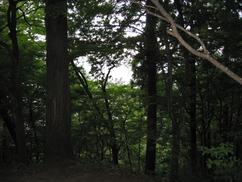 IMG_2134.JPG