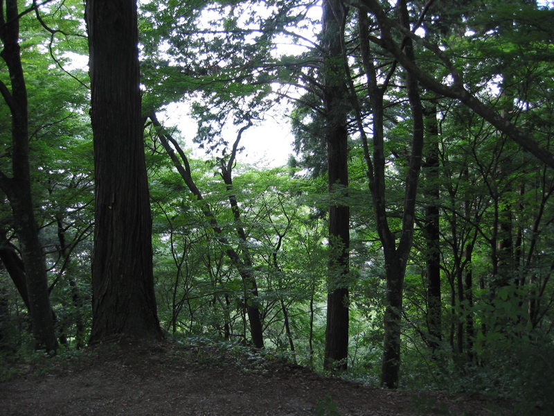 IMG_2135.JPG