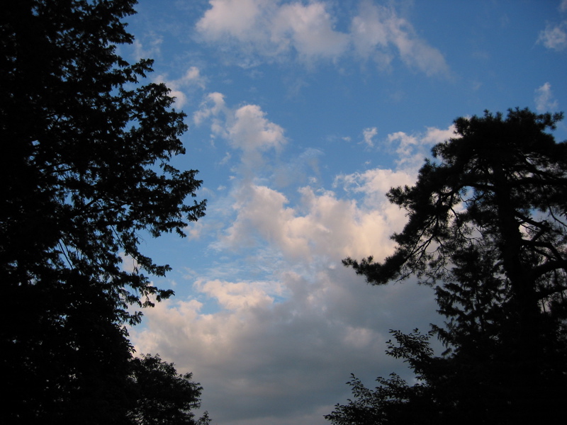 IMG_2142.JPG