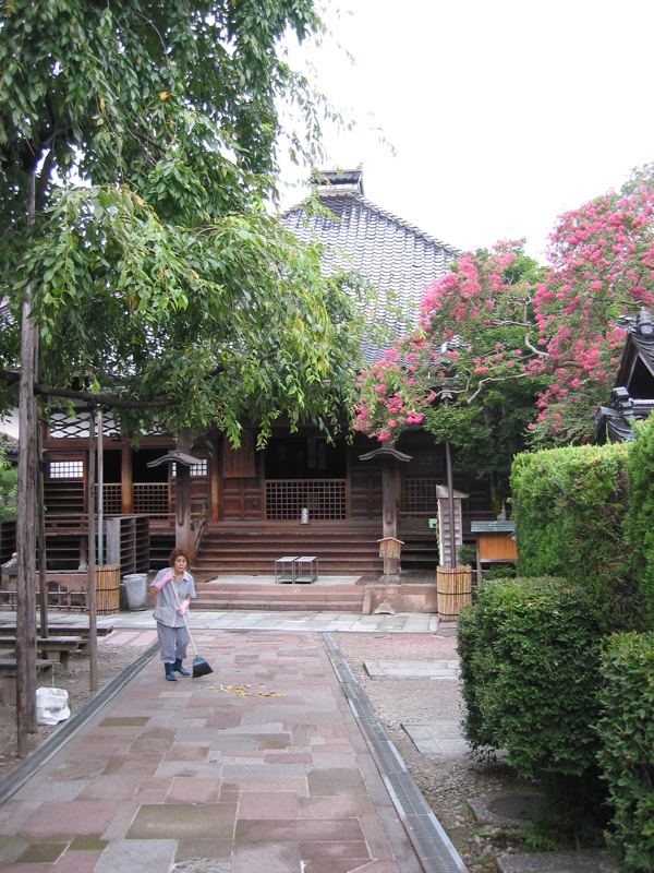 IMG_2527.JPG