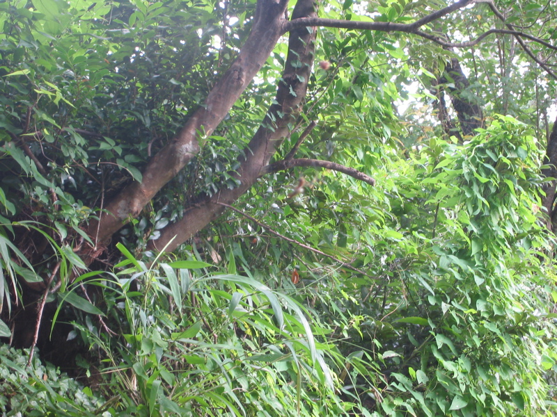 IMG_2541.JPG