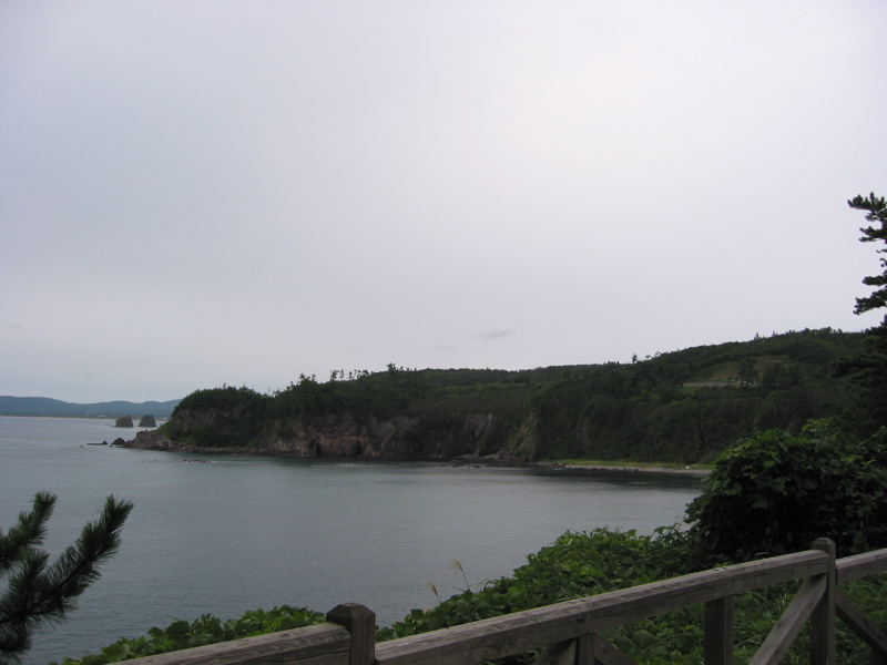 IMG_2566.JPG
