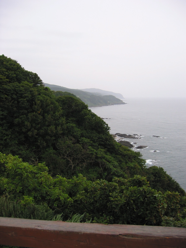 IMG_2610.JPG