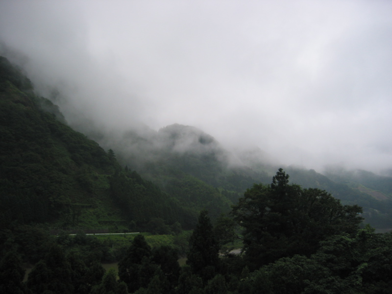 IMG_2644.JPG