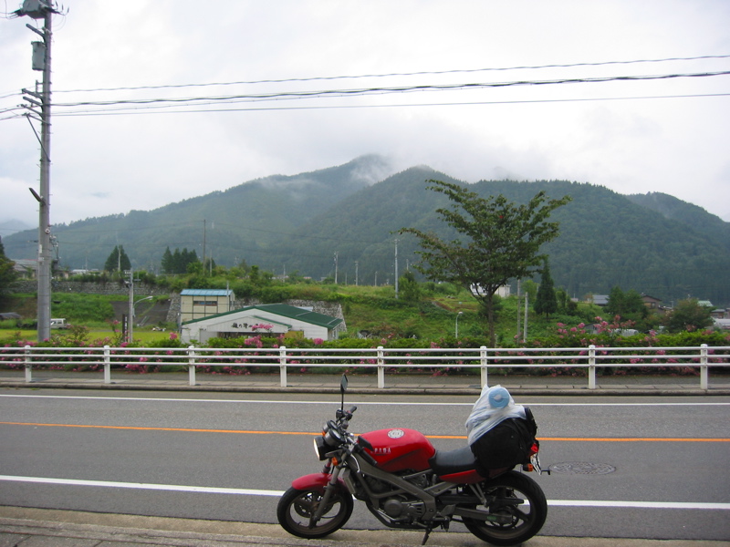 IMG_2647.JPG