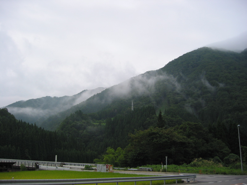 IMG_2650.JPG