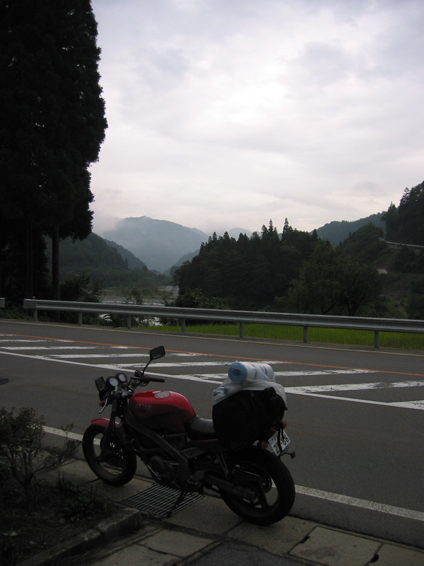 IMG_2652.JPG