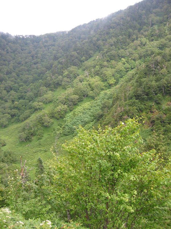 IMG_2662.JPG