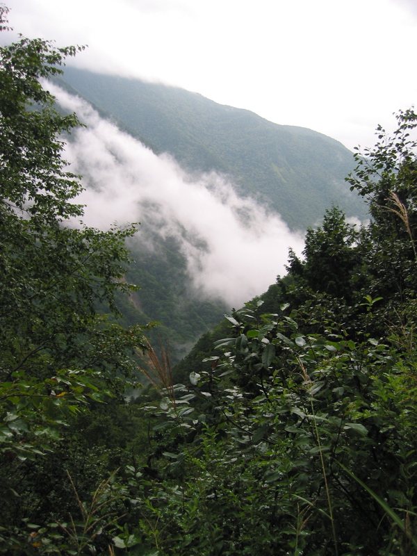 IMG_2663.JPG