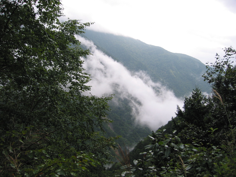 IMG_2664.JPG
