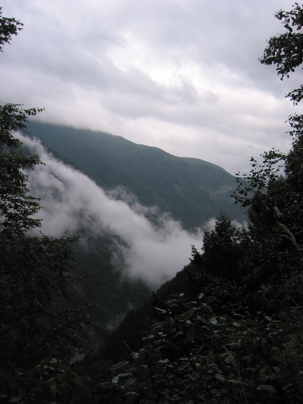 IMG_2665.JPG