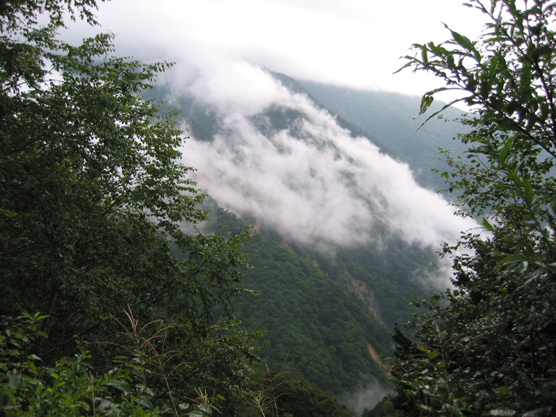 IMG_2667.JPG