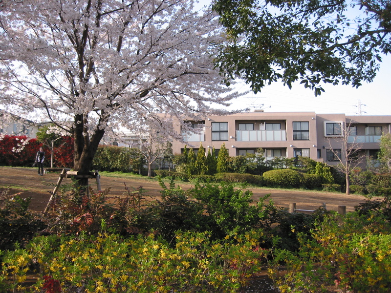 IMG_0873.JPG