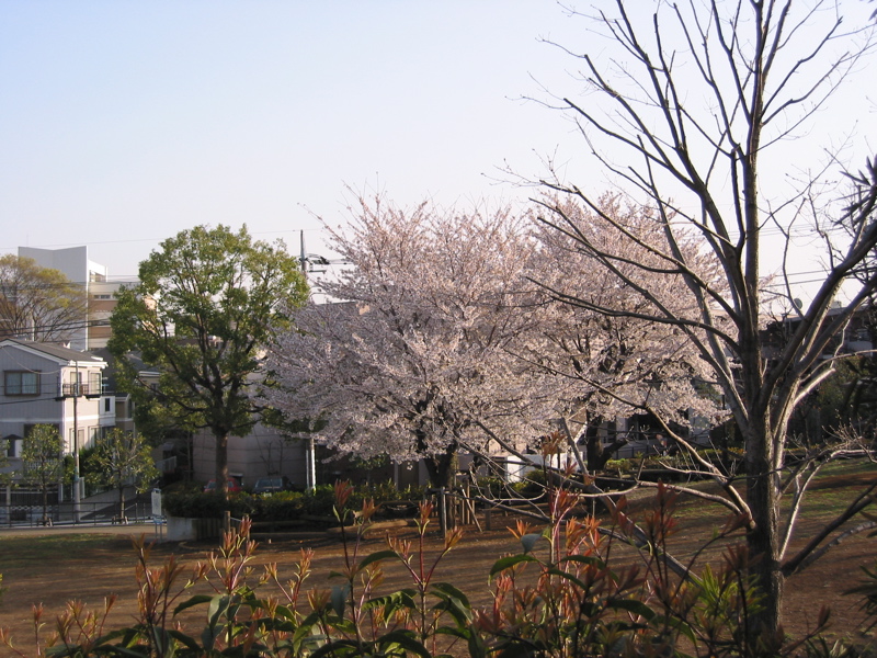 IMG_0891.JPG