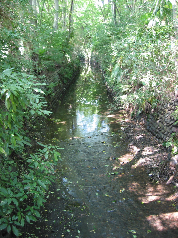 IMG_1079.JPG