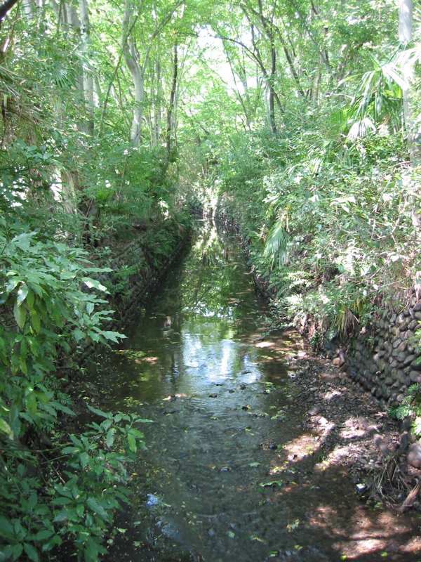 IMG_1080.JPG