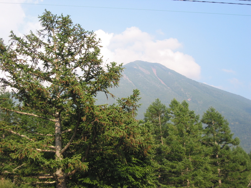 IMG_1284.JPG