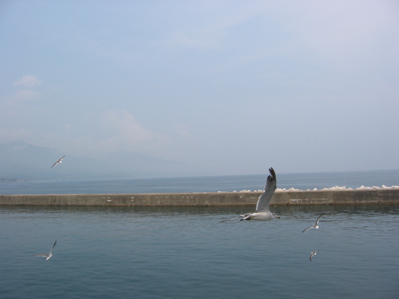 IMG_1588.JPG