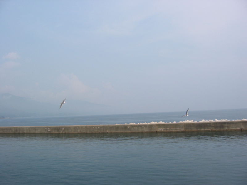 IMG_1589.JPG