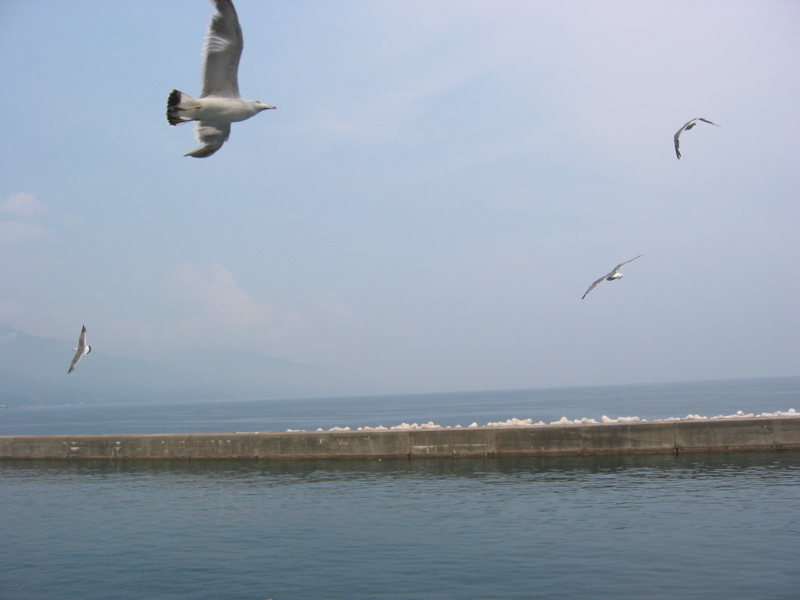 IMG_1590.JPG