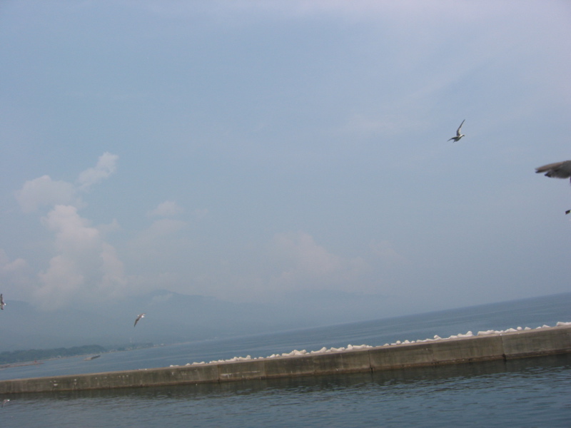 IMG_1592.JPG