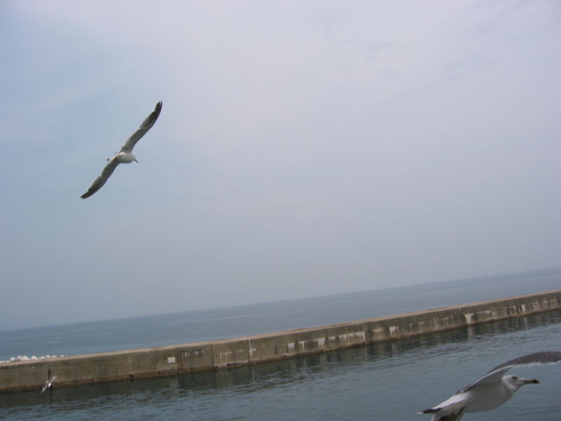 IMG_1594.JPG