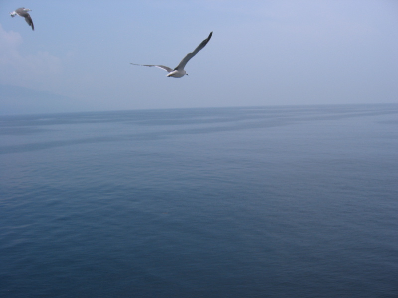 IMG_1614.JPG