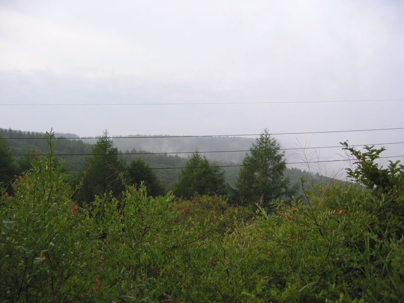 IMG_1680.JPG