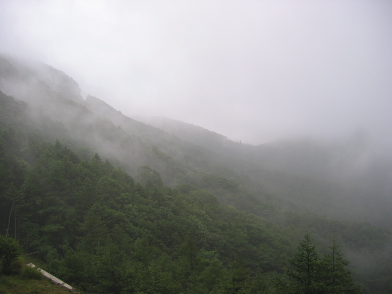 IMG_1684.JPG