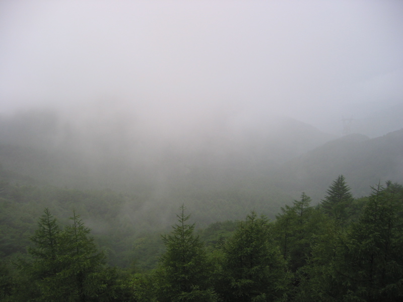 IMG_1685.JPG