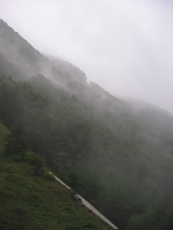 IMG_1689.JPG