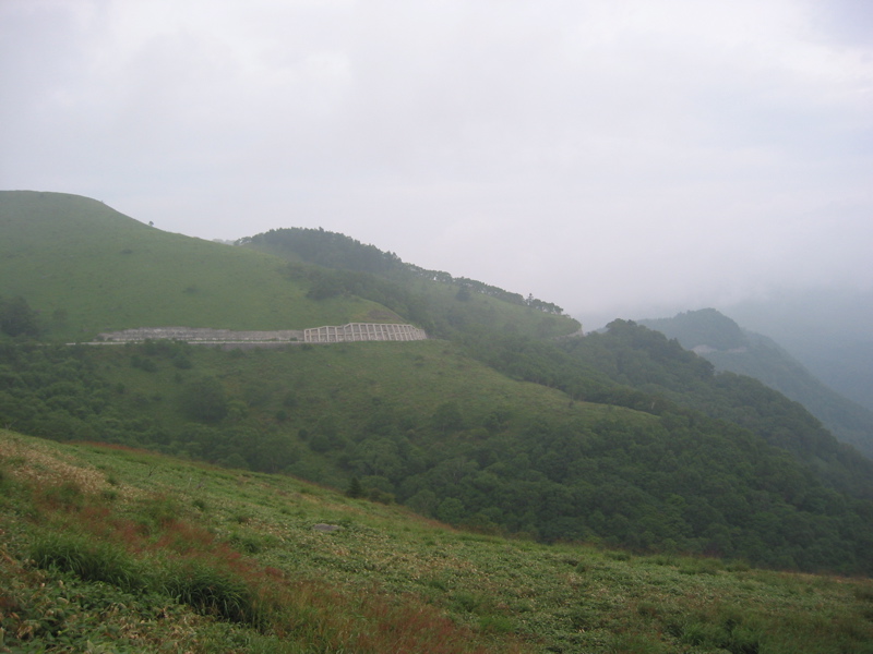 IMG_1697.JPG