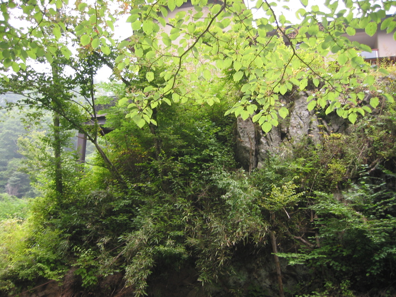 IMG_1714.JPG