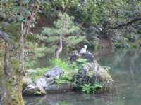 IMG_2351.JPG