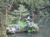 IMG_2352.JPG
