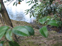 IMG_2361.JPG