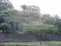 IMG_2362.JPG