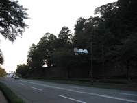 IMG_2363.JPG