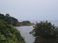IMG_2600.JPG