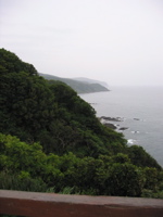 IMG_2610.JPG