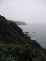 IMG_2613.JPG