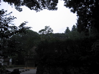 IMG_2618.JPG
