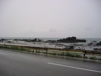 IMG_2619.JPG