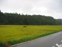 IMG_2626.JPG
