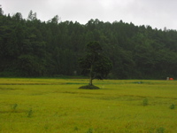 IMG_2627.JPG