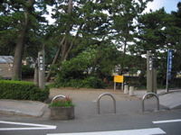 IMG_1424.JPG
