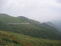 IMG_1697.JPG